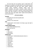 Referāts 'Matemātisko priekšstatu veidošanas iespējas pirmsskolas vecumā', 18.