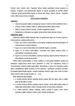 Referāts 'Matemātisko priekšstatu veidošanas iespējas pirmsskolas vecumā', 21.