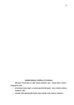 Referāts 'Matemātisko priekšstatu veidošanas iespējas pirmsskolas vecumā', 31.