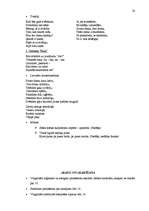 Referāts 'Matemātisko priekšstatu veidošanas iespējas pirmsskolas vecumā', 38.