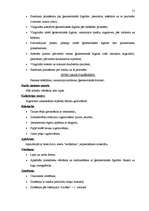 Referāts 'Matemātisko priekšstatu veidošanas iespējas pirmsskolas vecumā', 51.