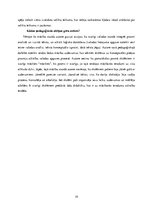 Prakses atskaite 'Specializācijas "Latviešu valodas skolotājs pamatskolā" prakses dienasgrāmata', 19.