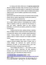 Referāts 'Biznesa stratēģiskā plānošana', 4.