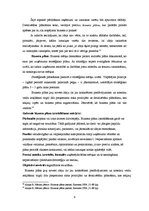 Referāts 'Biznesa stratēģiskā plānošana', 9.