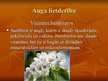 Prezentācija 'Rožu dzimta, bumbieris', 4.