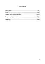 Referāts 'Eiropas integrācijas vēsture - Šengenas zona', 2.