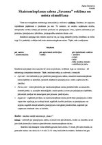 Eseja 'Skaistumkopšanas salona "Savanna" reklāma un noieta stimulēšana', 1.