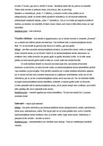 Eseja 'Skaistumkopšanas salona "Savanna" reklāma un noieta stimulēšana', 2.