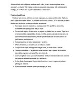 Eseja 'Skaistumkopšanas salona "Savanna" reklāma un noieta stimulēšana', 4.