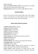 Paraugs 'Akadēmiskā slimības vēsture neiroloģijā', 4.