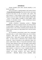 Referāts 'Gotika', 2.