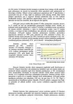 Referāts 'Interneta mārketings', 6.