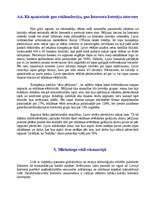 Referāts 'Interneta mārketings', 26.