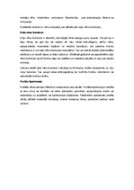 Konspekts 'Vēnas, artērijas, muguras smadzenes', 7.