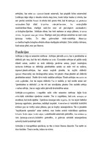 Konspekts 'Vēnas, artērijas, muguras smadzenes', 9.