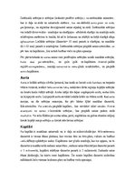 Konspekts 'Vēnas, artērijas, muguras smadzenes', 10.