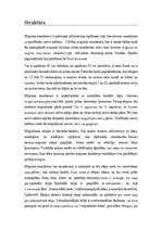 Konspekts 'Vēnas, artērijas, muguras smadzenes', 12.