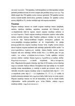 Konspekts 'Vēnas, artērijas, muguras smadzenes', 19.