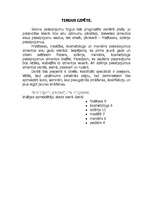 Biznesa plāns 'Jauna uzņēmuma izstrādes plāns - "Letīcija"', 7.