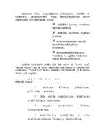 Biznesa plāns 'Jauna uzņēmuma izstrādes plāns - "Letīcija"', 10.