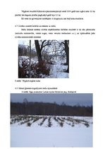 Referāts 'Meži Latvijā un Ludzas Kārsavas novadā', 25.