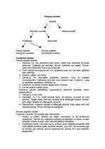 Konspekts 'Zinātniski pētnieciskā darba pamati', 3.