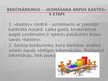 Prezentācija 'Benčmārkings - kvalitātes pilnveides metode', 8.