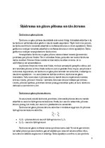 Referāts 'Spiediens, spiediena mērierīces', 6.