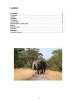 Referāts 'Ziloņi', 2.