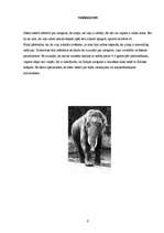 Referāts 'Ziloņi', 9.