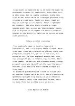 Referāts 'Zirgi', 4.