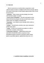 Referāts 'Uzņēmuma "X" finanšu analīze', 9.