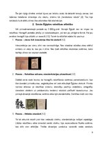 Referāts 'Rakstības izcelšanās un attīstība: Senās Ēģiptes rakstība', 5.