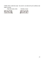 Referāts 'Rakstības izcelšanās un attīstība: Senās Ēģiptes rakstība', 24.