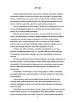 Diplomdarbs 'Sociāli devianta uzvedība elektroniskajā vidē', 2.