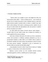 Referāts 'Īpašuma tiesību saturs', 3.