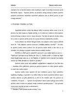 Referāts 'Īpašuma tiesību saturs', 5.