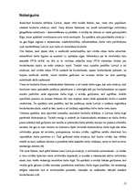 Referāts '2006.gada Latvijas bezdarba rādītāju analīze', 12.