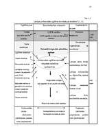 Referāts 'Profesionālās izglītības ietekme uz valsts ekonomisko izaugsmi', 27.