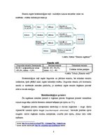 Referāts 'Bioetanols', 6.