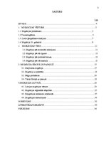 Referāts 'Iedzīvotāju migrācija un tās veidi', 3.