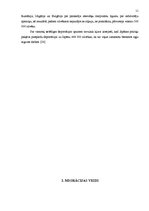 Referāts 'Iedzīvotāju migrācija un tās veidi', 11.