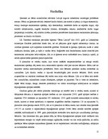 Referāts 'Ielu bērni', 12.