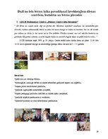 Referāts 'Ielu bērni', 29.