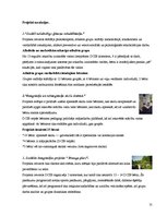 Referāts 'Ielu bērni', 31.