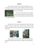 Referāts 'Būvķīmija, rūpnīca "Sakret"', 6.