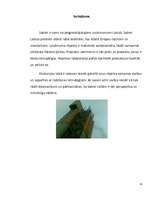 Referāts 'Būvķīmija, rūpnīca "Sakret"', 15.