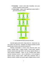Referāts 'Biogāzes veidošanās process', 5.