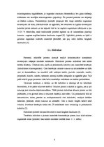 Referāts 'Biogāzes veidošanās process', 6.