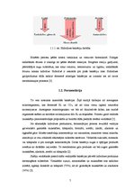 Referāts 'Biogāzes veidošanās process', 7.